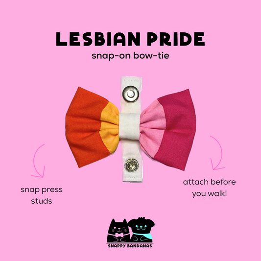 lesbian Pride pet bow tie dog bow tie cat bow tie
