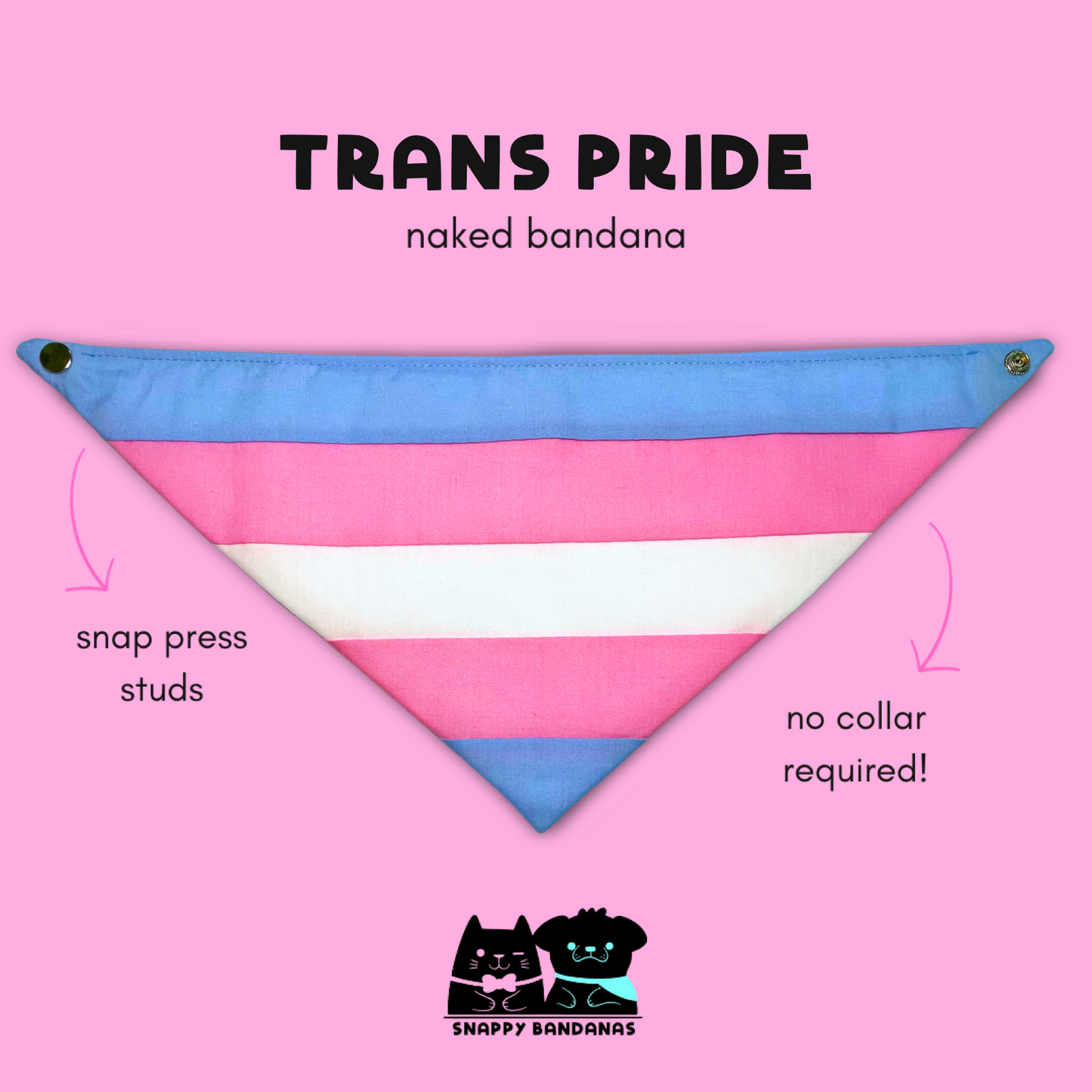 trans Pride pet bandana dog bandana cat bandana