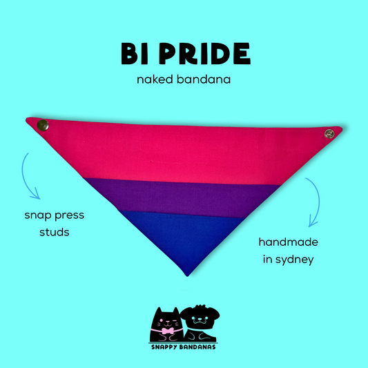 bisexual Pride pet bandana dog bandana cat bandana
