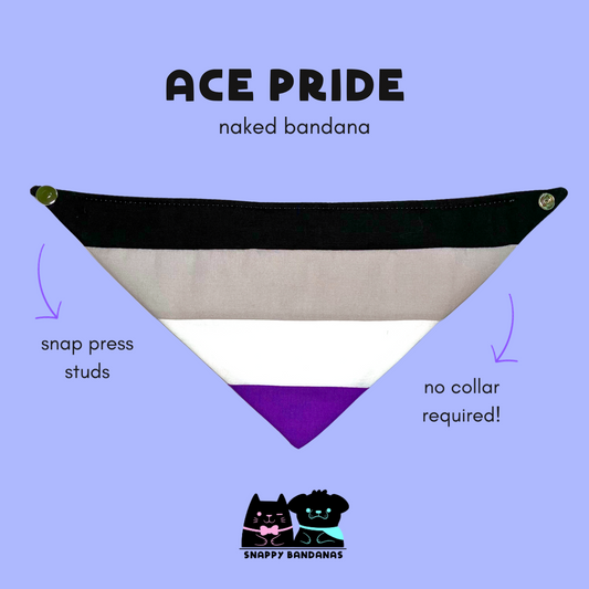 asexual Pride pet bandana dog bandana cat bandana