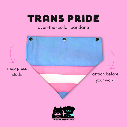 trans pride OTC bandana