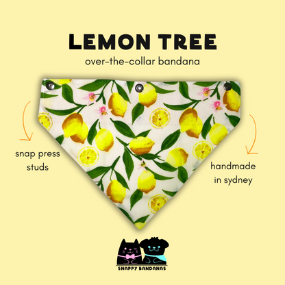 lemons pet bandana dog bandana cat bandana