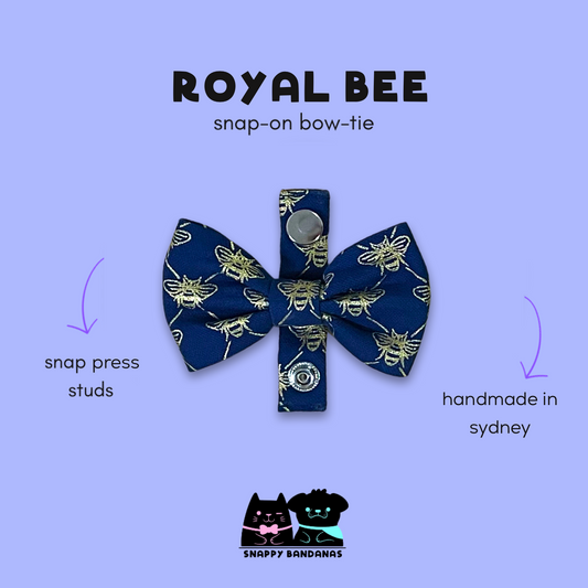 gold bee navy pet bow tie dog bow tie cat bow tie